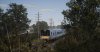 TSW_Nina_1583672743_00.jpg