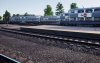 DGR TSW 73.jpg