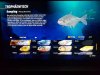 20200802_155747.jpg