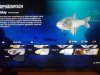 20200806_140734.jpg