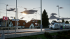 TSW_Adam_1597067679_00.png