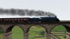 Screenshot_Riviera Line in the Fifties_50.40240--3.55978_11-14-20.jpg