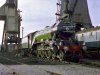 4472_FLYING_SCOTSMAN_at_Steamtown_Railway_Museum.jpg
