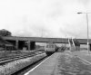 Rose_Grove_railway_station_in_1985.jpg