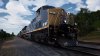 TSW2 - SANDPATCH3.jpg