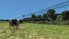 upload_2020-8-28_19-45-41.png