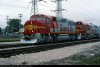 GP60M1.jpg