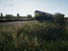 EWS 66117.jpg