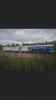 D2AEEF9B-C57C-4782-9341-ED30696B77EF.png