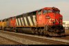 C40-8M02.jpg