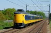 NS ICM.jpg