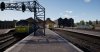 TSW_Shane_1600374558_00.jpg