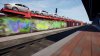 TSW2 - AACHEN KOLN - DB AUTORACKS - 15.jpg