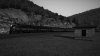 20190512101547_1 (bw).jpg