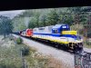 IMG_20201009_190721526.jpg