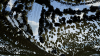 TSW_Adam_1585400388_00.png