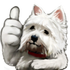 sqrlYES.png