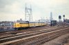 Bjorklund240111.jpg