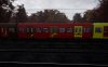 Autumn Commuter4.jpg