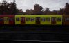 Autumn Commuter3.jpg