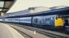 class 31.jpg