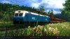 TS21_ScreenshotCompetition_LoadingScreenweek45.jpg