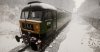 TSW_Matt_1527302020_00.jpg