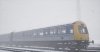 TSW_Dan_1607860738_00.jpg