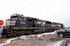 _MG_3520r.JPG