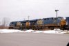 _MG_3569r.JPG