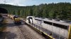 Train Sim World 2_20210111170430.jpg