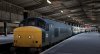 class 45.jpg