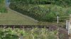 fence issue 3.jpg