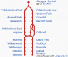 upload_2021-2-23_19-14-38.png