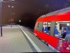 IMG_0101.jpg