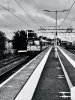 A6973619-119C-4018-8037-6B85058D42BF.jpeg