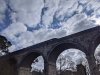 PXL_20210306_105521237.jpg