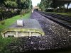 IMG_0568.jpeg
