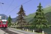 aaa-brown-fir.jpg