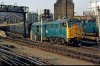 31 plus blue coaches.jpeg