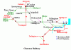 schematic.gif