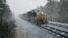TSW_Coppo_1530109530_00.png