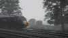 TSW_WaLLiaM_1532770961_00.png