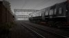 TSW_Coppo_Augwk32.jpg