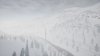888781d4-60c7-4bc8-a68f-8733819483ad.jpeg