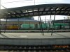 DSCN3396.JPG