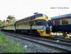 100_5511-4txt.jpg