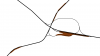 2021-04-05 (3).png