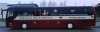 Molli_Bus2.jpg