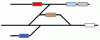 TS-RULE1.gif